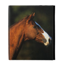 Thoroughbred Horse Headshot iPad Folio Covers