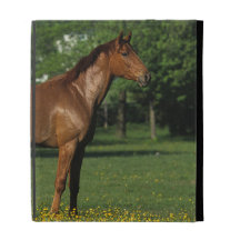 Thoroughbred Horse in Flowers iPad Case