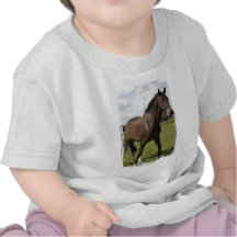 Thoroughbred Horse Infant Shirt
