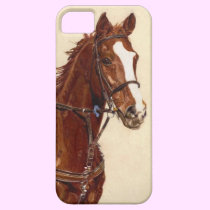 Thoroughbred Horse iPhone 5 Barely There Case casemate cases