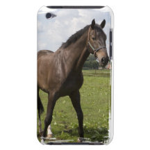 Thoroughbred Horse iTouch Case iPod Case-Mate Case