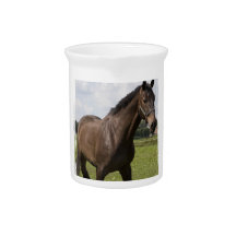 Thoroughbred Horse Pitcher
