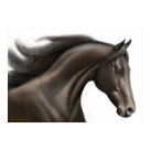 postcard - Original artwork of a Thoroughbred racehorse by equine artist Carolyn McFann of Two Purring Cats Studio printed on a quality poster. Choose your size poster, from small to large and the price will adjust.