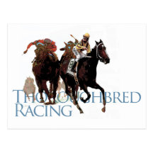 Thoroughbred Horse Racing Gifts Postcard