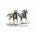Thoroughbred Horse Racing - The Stretch Post Cards