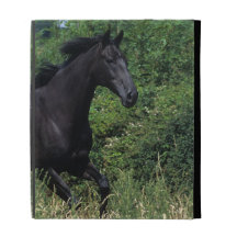 Thoroughbred Horse Running in Grass iPad Case