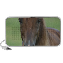 Thoroughbred Horse Speakers