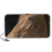 Thoroughbred Horse Speakers