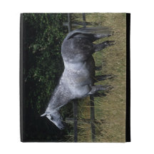 Thoroughbred Horse Standing by Fence iPad Case