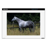 Thoroughbred Horse Standing by Fence Skin For 15" Laptop