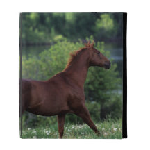 Thoroughbred Horse Standing in Flowers iPad Cases