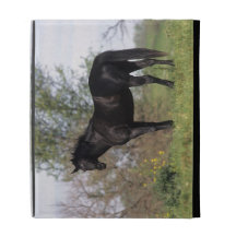 Thoroughbred Horse Standing iPad Cases
