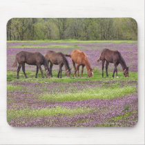 Thoroughbred horses in field of henbit flowers mousepads