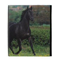 Thoroughbred Horses in Flower Field iPad Cases