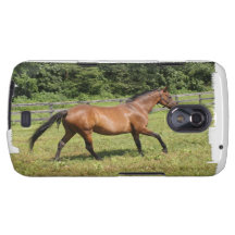 Thoroughbred in a Field Samsung Galaxy Nexus Covers