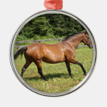 Thoroughbred in a Field Ornament