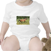 Thoroughbred in a Field T-shirts