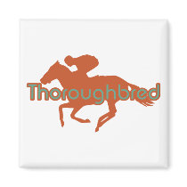 Thoroughbred magnets