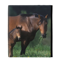 Thoroughbred Mare & Foal 1 iPad Folio Cover
