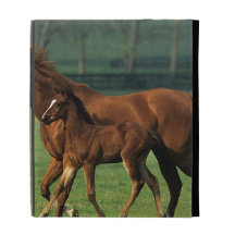 Thoroughbred Mare & Foal 3 iPad Case