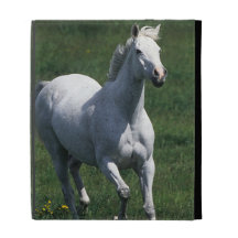 Thoroughbred Mare iPad Folio Covers