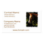 Thoroughbred Mount Business Card