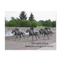 Thoroughbred Park Downtown Lexington, ... postcards