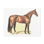 Thoroughbred Postcard