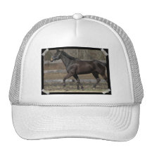 Thoroughbred Prancing Baseball Hat