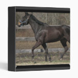 Thoroughbred Prancing Binder