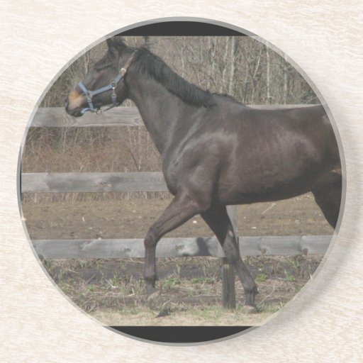 Thoroughbred Prancing Coaster
