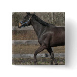 Thoroughbred Prancing Pin