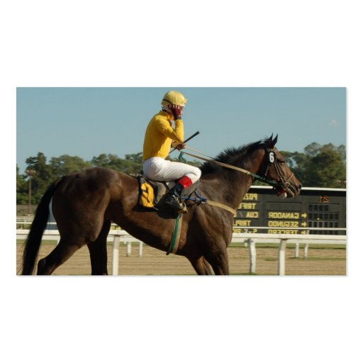 Thoroughbred Race Horse Business Card (back side)