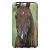 Thoroughbred Race Horse iTouch Case iPod Case-Mate Case