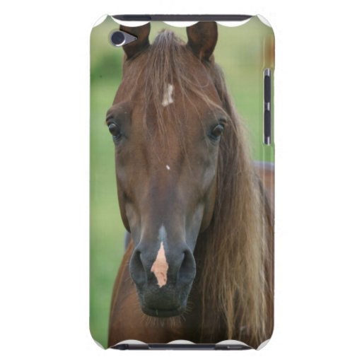 Thoroughbred Race Horse iTouch Case iPod Case-Mate Case