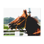 Thoroughbred Race Horse Postcard