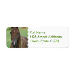 Thoroughbred Race Horse Return Address Label