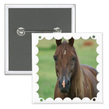 Thoroughbred Race Horse Square Pin
