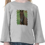 Thoroughbred Race Horse Toddler T-Shirt