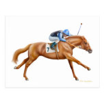 Thoroughbred Racehorse Postcard