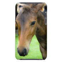 Thoroughbred Selections iTouch Case iPod Touch Cover