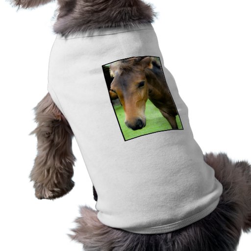 Thoroughbred Selections Pet Shirt