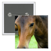 Thoroughbred Selections Square Pin