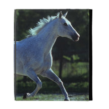 Thoroughbred Stallion Running iPad Folio Case