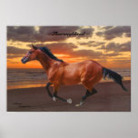 Thoroughbred Sunrise Poster
