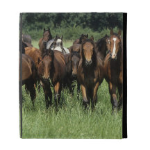 Thoroughbred Youngsters iPad Case