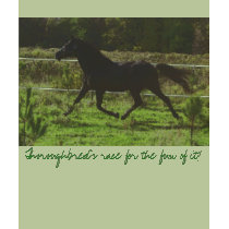 Thoroughbred's race for the fun of it! t-shirts