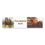 Thoroughbreds Rock Bumper Sticker