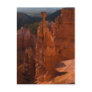 Thors  Hammer Post Cards