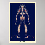 thoth poster